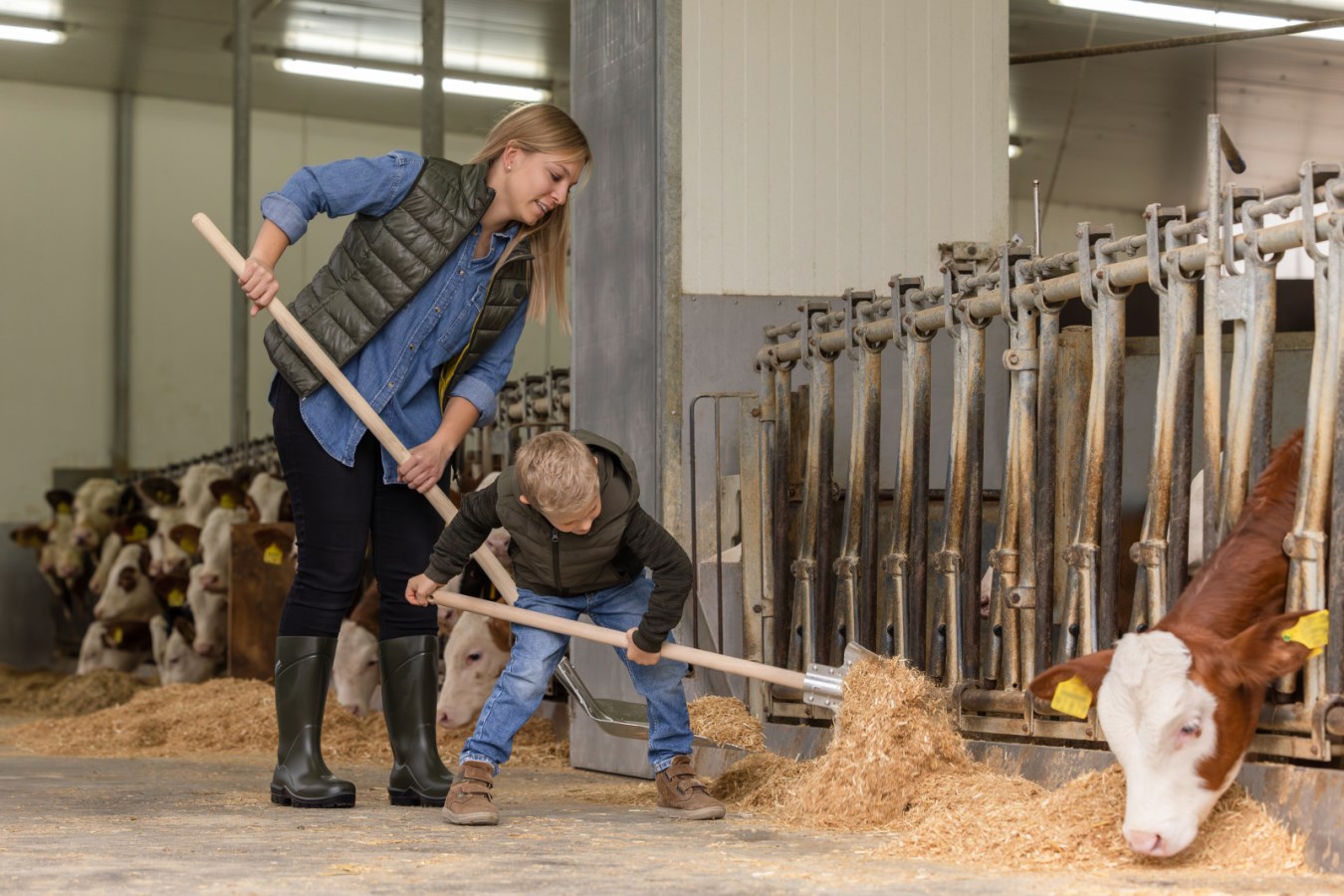 Kerbl Mangiatoia Rotonda In Alluminio - Leggera, Con Scarico - Per Animali, Facile Da Pulire - Foto 6