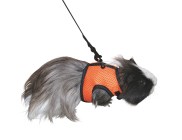 Pettorina per roditori Sport