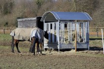 Rastrelliera rettangolare per cavalli, con ringhiera di sicurezza