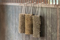 Delizia® Legno da rosicchiare Metabolismo