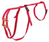 Basto per prolasso uterino