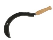Falciola